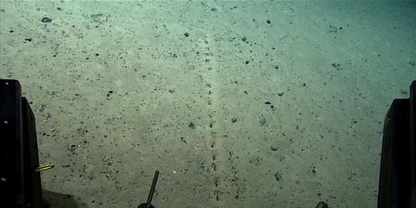 Gauri misterioase pe fundul Atlanticului FOTO NOAA