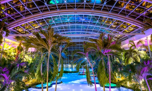 WhatsApp Image 2024 11 15 at 11 56 42 AM jpeg