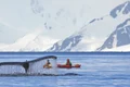 Antarctica (Shutterstock) jpg