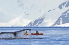 Antarctica (Shutterstock) jpg
