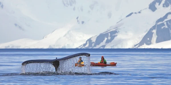 Antarctica (Shutterstock) jpg
