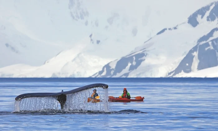 Antarctica (Shutterstock) jpg