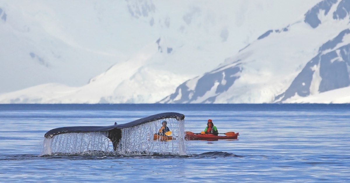 Alpinistul Adrian Ahrițculesei a cucerit cel mai înalt vârf din Antarctica