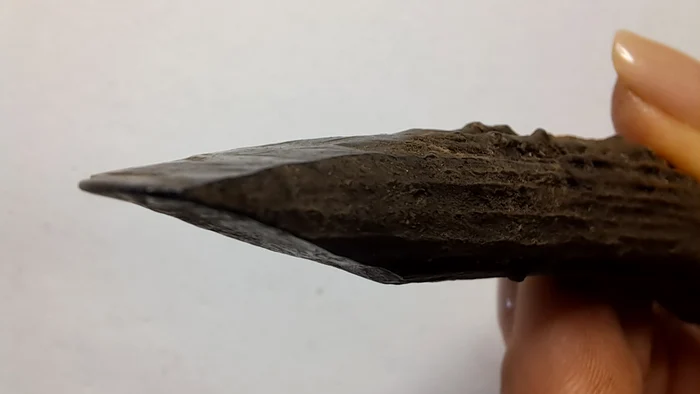 Unelte medievale din corn. FOTO Arheologie Medievală în Târgoviște / Facebook