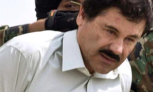 el chapo jpeg