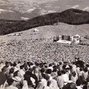 sarbatoare gaina 1963