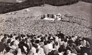 sarbatoare gaina 1963