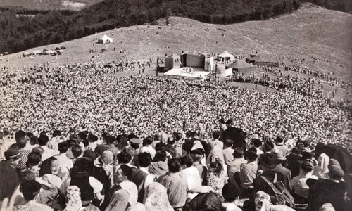 sarbatoare gaina 1963