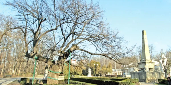 Mihai Eminescu Tei Parcul Copou FOTO Adevărul