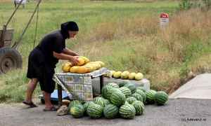 Pepeni  Foto Daniel Guță ADEVĂRUL (2) JPG