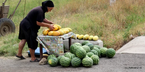 Pepeni  Foto Daniel Guță ADEVĂRUL (2) JPG