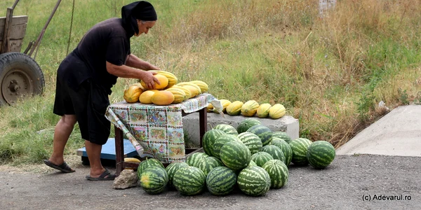 Pepeni  Foto Daniel Guță ADEVĂRUL (2) JPG