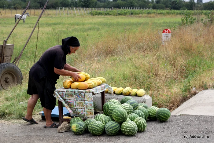 Dăbuleni, Sahara Olteniei unde cresc pepeni uriași. Cum a început povestea delicioaselor fructe ale verii