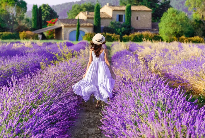 Femeie într un câmp de lavandă   shutterstock jpg