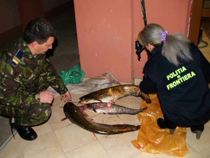 Întreaga cantitate de peşte a fost confiscată