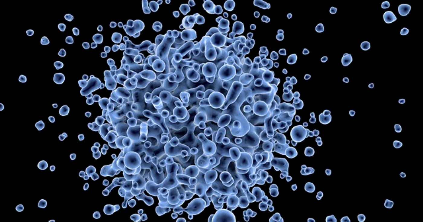 Un test genetic depistează autismul chiar de la naştere FOTO autismdailynewscast.com