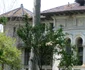 casa miclescu