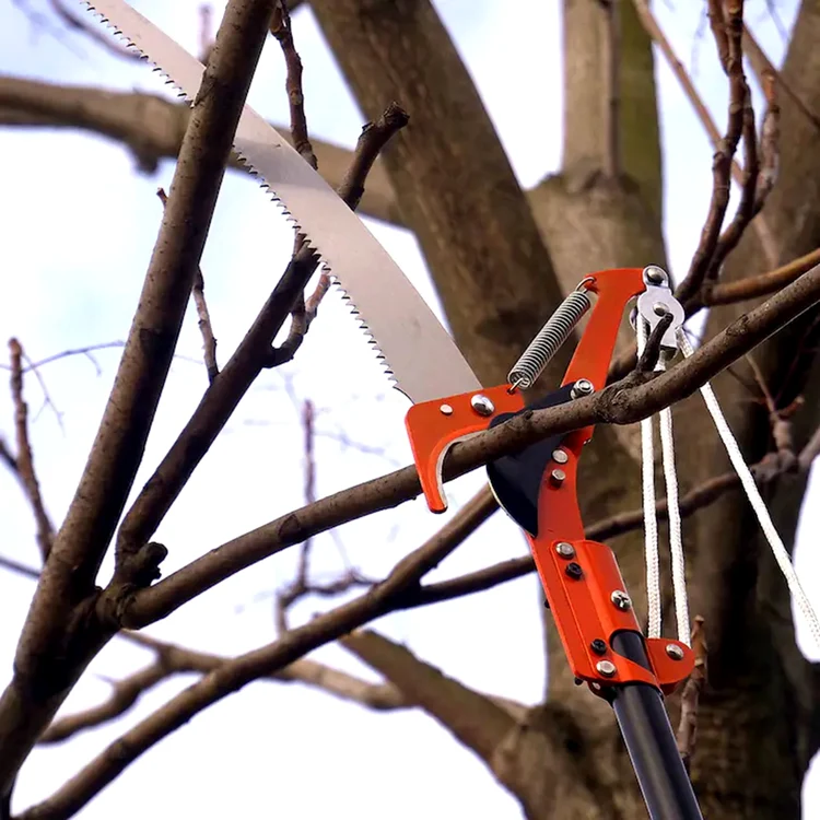 Foarfeca electrică + fierăstrău telescopic Strend Pro tăind crengile unui copac Foto eMAG