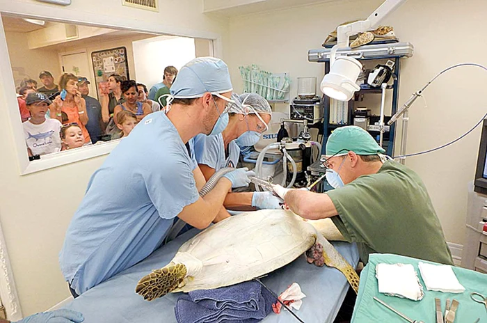 Operaţia a durat aproape două ore