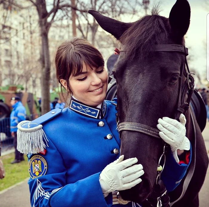 Cal de cavalerie care și-a terminat misiunea de o viață la Jandarmerie