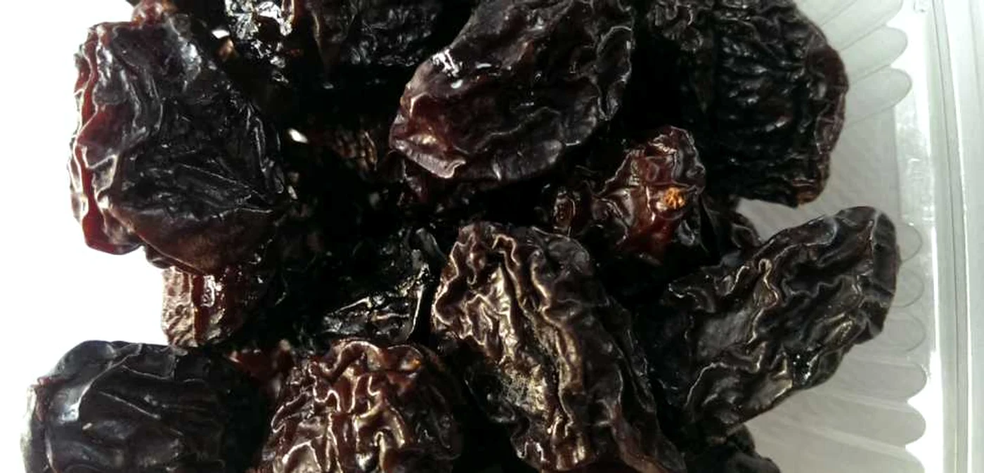 calaarsi prune