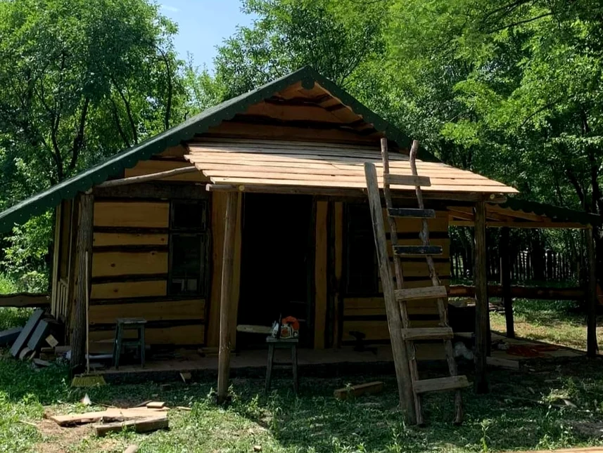 Cabana din pădure a Mihaelei Bilic FOTO: FB