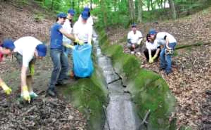 Tinerii au ecologizat pădurea Trivale din Piteşti 