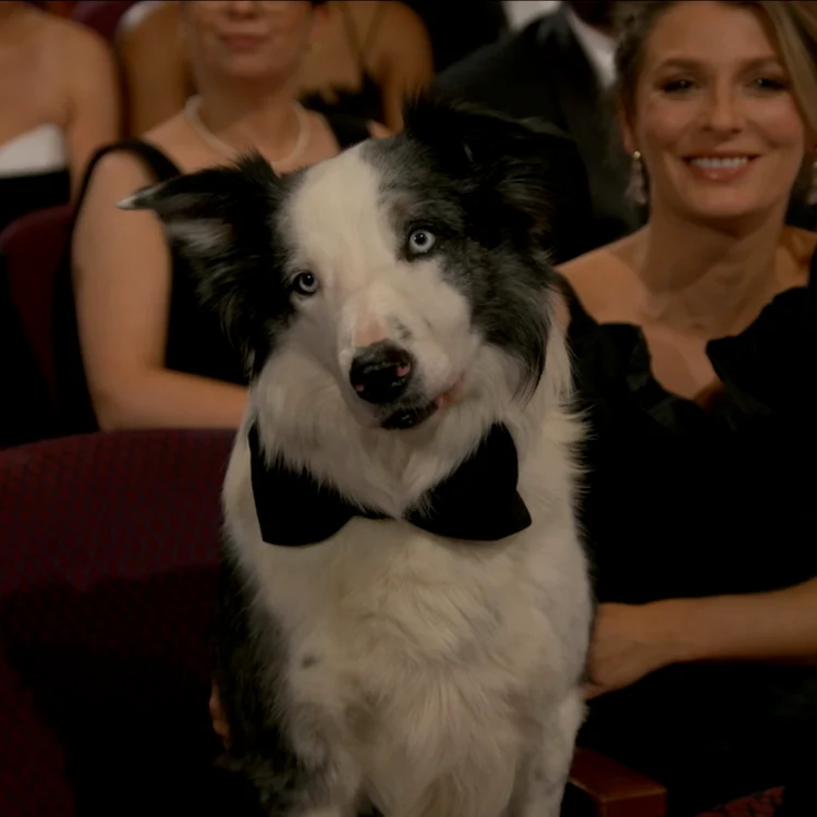 Messi, cel mai simpatic invitat la Oscar. FOTO: The Academy