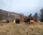 Depoul din Petroșani Foto Daniel Guță ADEVĂRUL (1) jpg