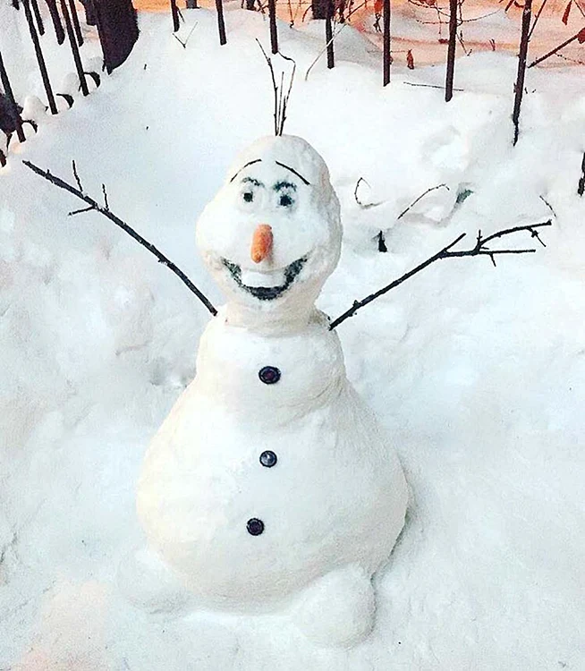 
    Elena Gheorghe  se laudă cu un Olaf extrem de reuşit   