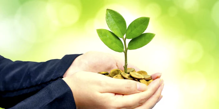 
    Horoscop zilnic 5 aprilie 2021: Peștii își asumă multe responsabilități Sursă foto: Pixabay.com   