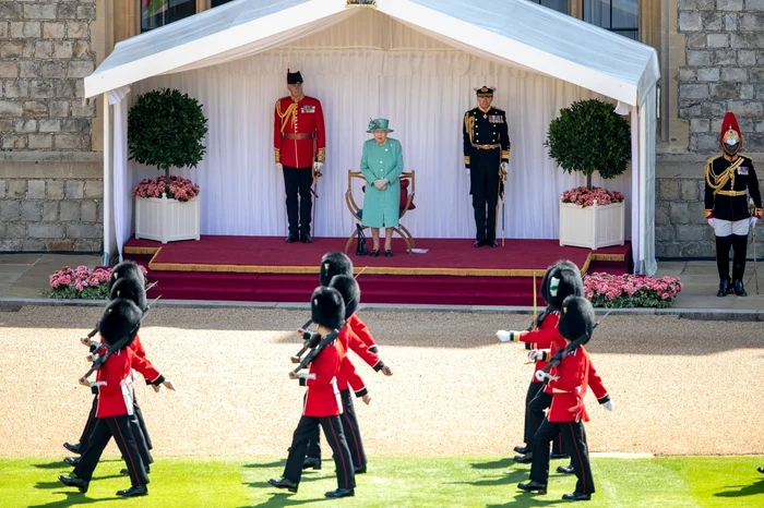 3 profimedia 0531089604 jpg jpeg