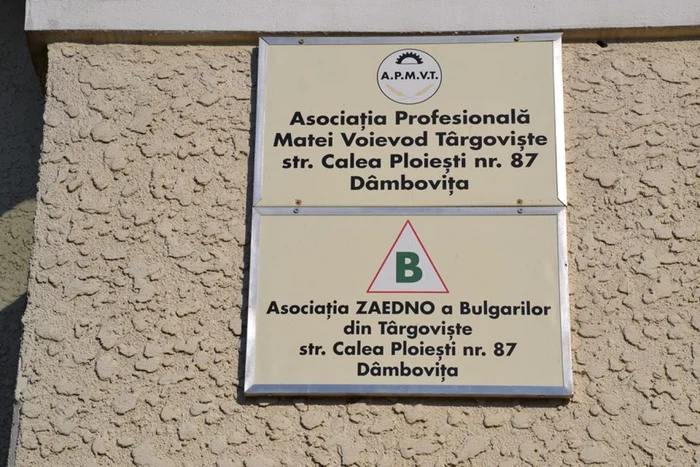 Asociaţia Zaedno