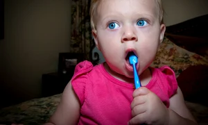 1 tooth brush 4089859 1920 jpg jpeg