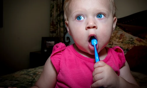 1 tooth brush 4089859 1920 jpg jpeg