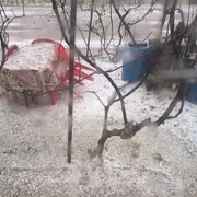 Furtuna Mehedinti, foto Facebook Marian Mladin jpg