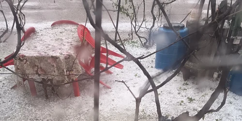 Furtuna Mehedinti, foto Facebook Marian Mladin jpg