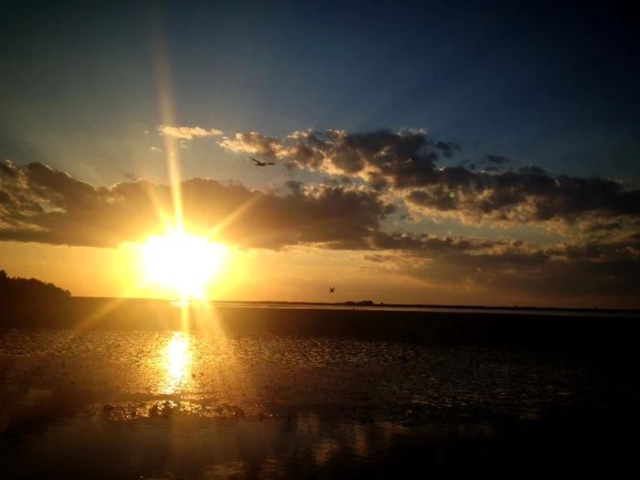 Diana Dumitrescu s-a bucurat de peisajele din Delta Dunării şi a fotografiat apusul de soare (foto: Facebook)