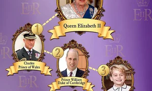 linia de succeisune png