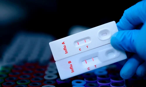 Cum daci diferenta dintre gripa A si gripa B Sursa foto shutterstock 2470397693 jpg