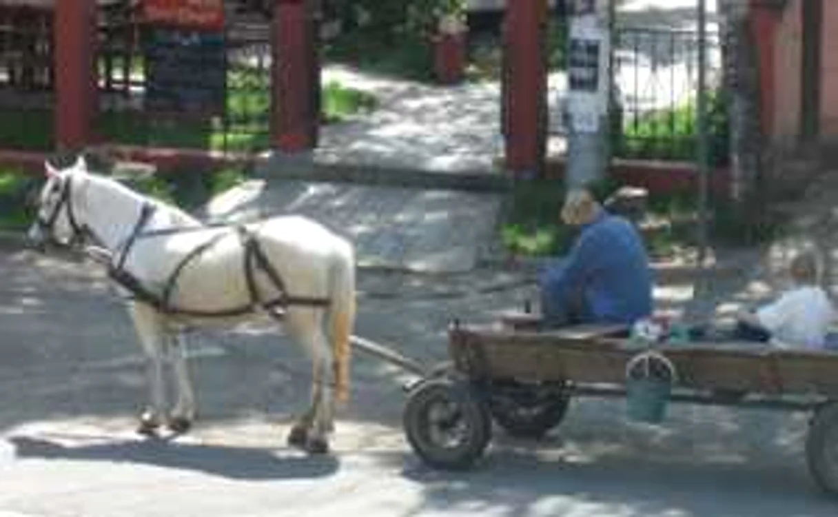Suceava: Căruţaşii, ameninţaţi că vor rămâne pedeştri