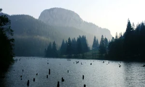 Lacul Rosu  Sursa Parcul National Cheile Bicazului jpg