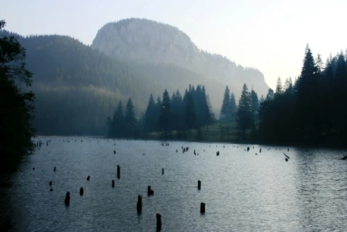 Lacul Roșu. Sursa: Parcul național Cheile Bicazului - Hășmaș