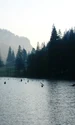 Lacul Rosu  Sursa Parcul National Cheile Bicazului jpg