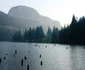 Lacul Rosu  Sursa Parcul National Cheile Bicazului jpg