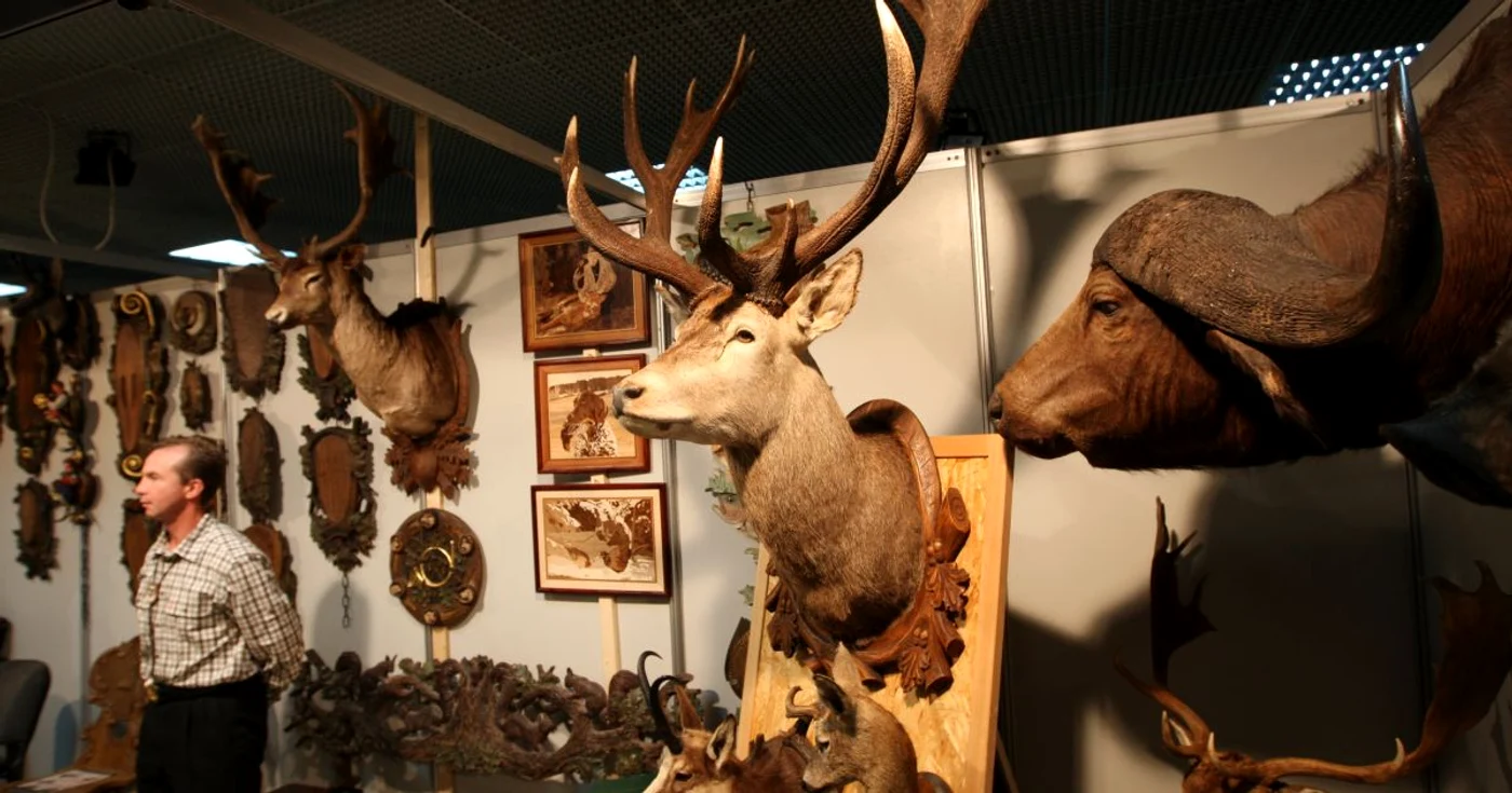 La Transilvania Hunting &amp; Fishing vor fi expuse şi trofee ale vânătorilor (foto adevarul)