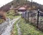 Runcu Mare Foto Daniel Guță ADEVĂRUL (12) jpg