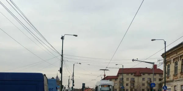 la umpărături de flori