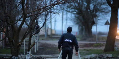Descinderi DNA FOTO pressalert.ro