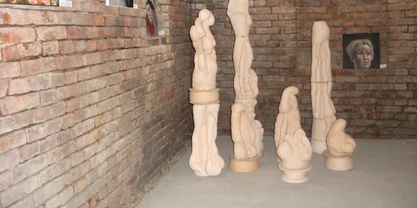 calarasi salon arta